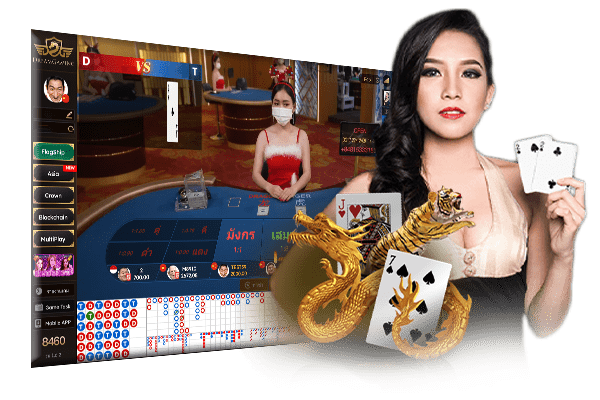 แนะนำสิทธิพิเศษของทาง DG CASINO หนึ่งเดียวที่มีให้กันแบบครบครัน